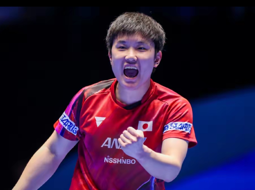 的实力与韧 的实力与韧