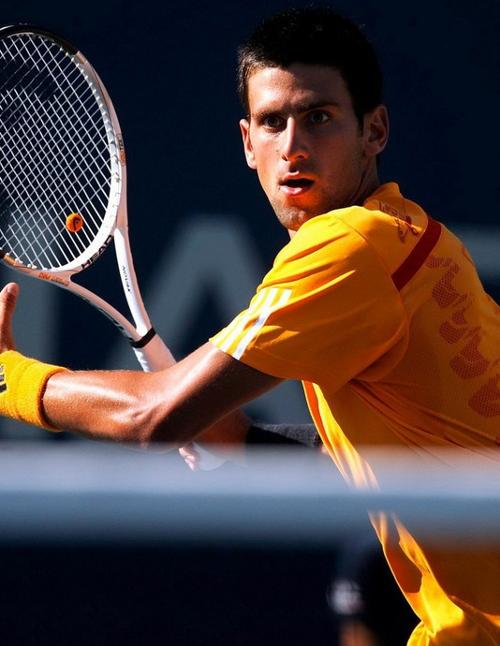 鉴的经验 鉴的经验