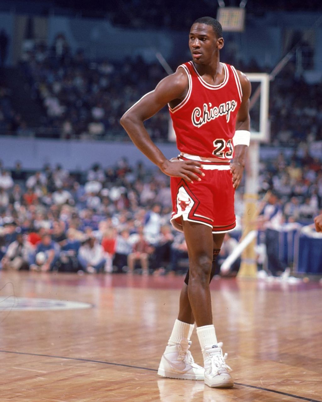 赢得了公众 赢得了公众